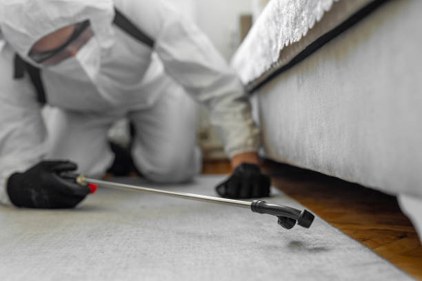 Professional Termite Control technician working in Chilton, WI