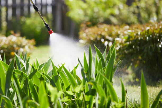 24/7 Emergency Termite Control experts in Chilton, WI